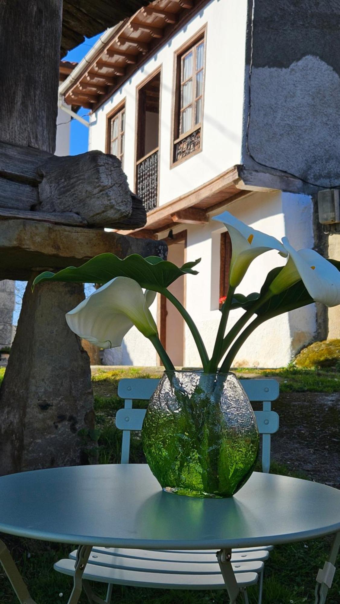 El Rinconin Del Sueve Villa San Martin de Valles Eksteriør billede