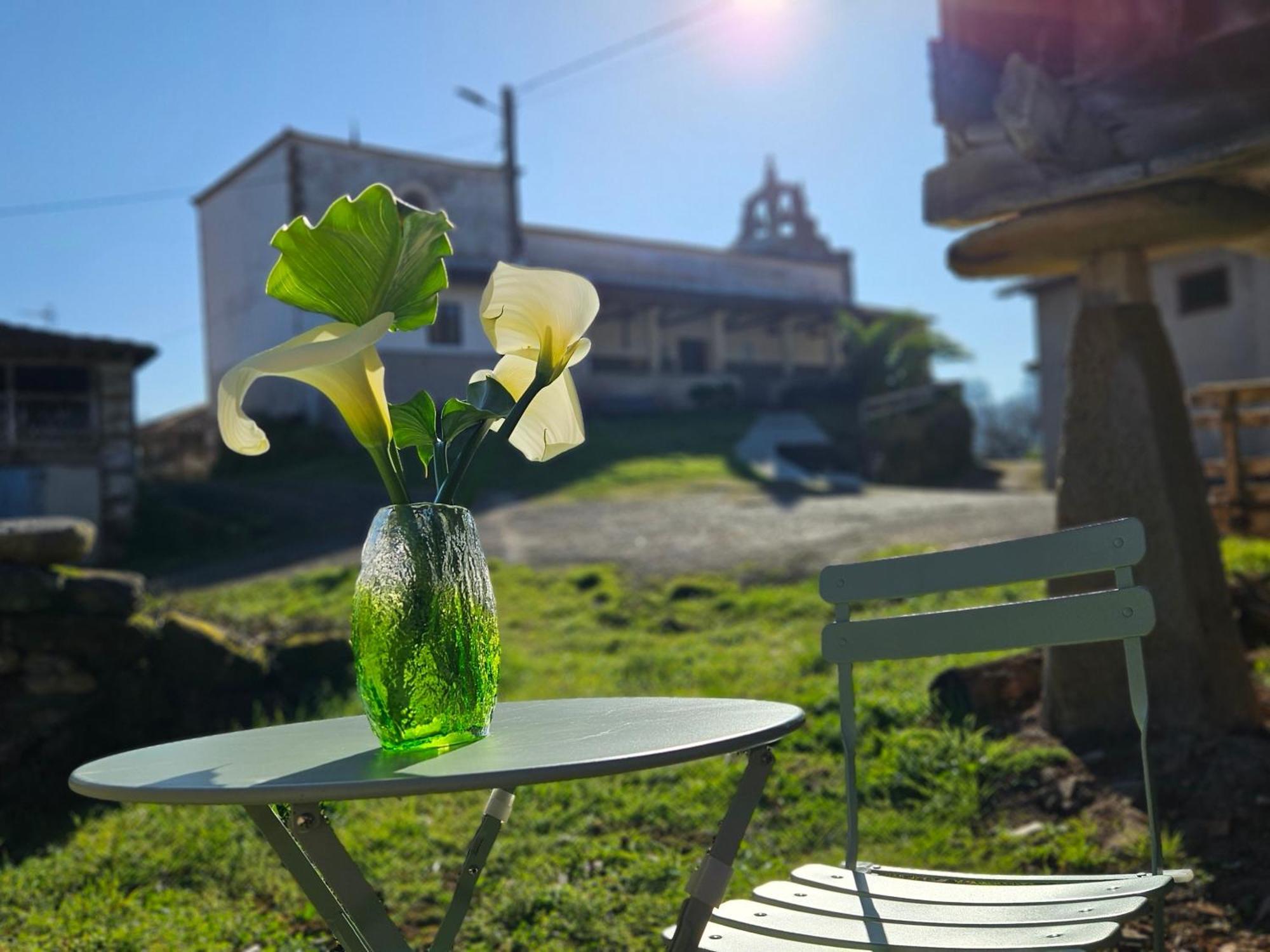 El Rinconin Del Sueve Villa San Martin de Valles Eksteriør billede